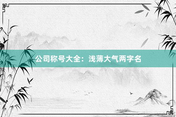 公司称号大全：浅薄大气两字名