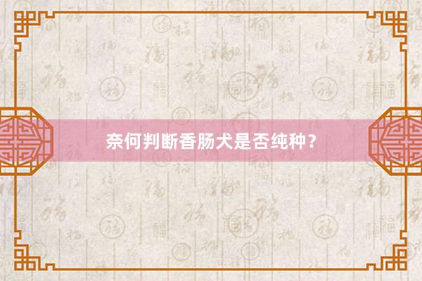 奈何判断香肠犬是否纯种？