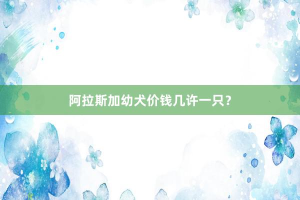 阿拉斯加幼犬价钱几许一只?